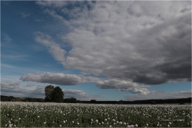 <p>Šluknovsko - Jiříkov</p>
